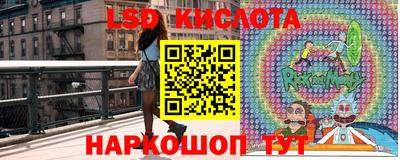 эйфоретик Будённовск