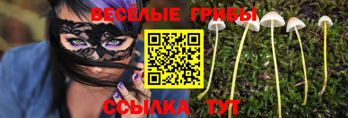 Псилоцибиновые грибы Cubensis  Вход с VPN  Псилоцибиновые грибы MAGIC MUSHROOMS  Заречный 